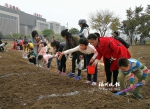 “为你种下一片花海”播种活动举行 1.3万平方米硫华菊5月绽放 - 福州新闻网