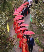 福建建宁：新人们在万亩梨花海中举行集体婚礼(图) - 新浪