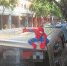 昨日下午，市区中山南路，一辆面包车顶上载着“蜘蛛侠”。 （记者王柏峰 摄） - 新浪