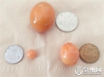 3颗美乐珠，其中大的一颗直径超过1元硬币，重约30克 - 新浪