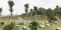 福清建生命公园推环保生态殡葬模式 让生命在青山绿水间延续 - 福州新闻网