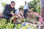 福州清明祭扫工作文明有序　生态安葬已渐入人心 - 福州新闻网
