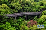 福州：空中步行道　人在画中游 - 福州新闻网