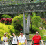 福州着力打造城市森林步道 穿梭漫步人在画中游(图) - 新浪