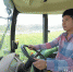 罗源“85后”青年做新一代农民 机械化种植精品米 - 福州新闻网
