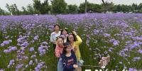 “五一”小长假 踏青赏花去 - 福州新闻网