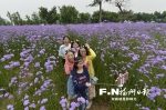 “五一”小长假 踏青赏花去 - 福州新闻网