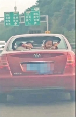 泉三高速：小车后挡风玻璃没了 两孩子探出头来 - 新浪
