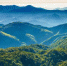 福建森林覆盖率连续多年保持全国首位。图为群山叠翠的戴云山国家自然保护区。 黄海 摄 - 福建新闻