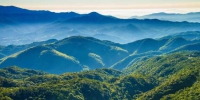 福建森林覆盖率连续多年保持全国首位。图为群山叠翠的戴云山国家自然保护区。 黄海 摄 - 福建新闻
