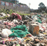 泉州一空地垃圾堆起两米高 多次调查处理难阻止 - 新浪