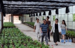 中国地瓜主题公园在龙岩连城落成 将引种地瓜超2000种 - 新浪