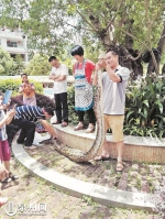工作人员收容救护大蟒蛇 （李三奕 供图） - 新浪