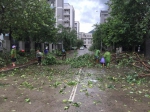 物业人员清理被风吹倒的树枝 - 福建工程学院