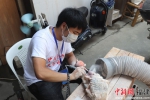 选手朱志雄带了一块20斤的石料参赛。吴林 摄 - 福建新闻