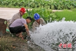 8月6日，在地方部门帮助下，正为浦城渔沧村虎头山自然本旱田抽水灌溉。　刘义友 摄 - 福建新闻