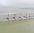 昨日，福厦客专泉州湾跨海大桥（福州侧）临时栈桥拉通。 （陈小阳 摄） - 新浪