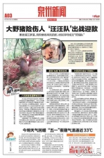 泉州洛江一村民上山放羊养鸡时 遭野猪袭击不幸身亡 - 新浪