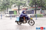 8月28日中午，集美锦园，行人在大雨中穿行。记者 唐光峰 摄 - 新浪