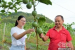 武平县返乡创业大学生王秀珍(左)向贫困户传授百香果种植经验。　王发祥 摄 - 福建新闻