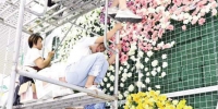 主宾省云南馆用15000朵鲜花搭建“花墙”。 - 新浪