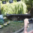 资料图：一名女青年在巴斯故居前用手机拍照留念。 刘可耕 摄 - 福建新闻