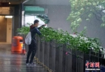 资料图：市民在台风天气下出行。中新社记者 张炜 摄 - 福建新闻