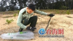 漳州一蟒蛇被渔网困住 相关部门解救后放生 - 新浪