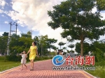 ◆平和县城滨江公园 - 新浪
