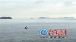 漳州双鱼岛附近现一对白海豚戏水 游客激动忙拍照 - 新浪