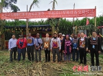 中国武夷捐赠农业机械 助建巴新菌草及旱稻示范基地 - 福建新闻