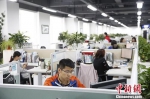 资料图：员工在崭新的现代化办公区工作。 中新社记者 韩海丹 摄 - 福建新闻