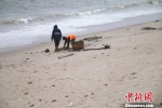 晋江对近岸海域等目标区域进行海漂垃圾整治，保护海洋环境。　王华毅 摄 - 福建新闻