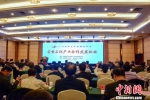 古雷石化产业发展论坛在福建漳州开展。　夏惠娟 摄 - 福建新闻