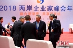 12月4日，2018两岸企业家峰会年会在厦门国际会议中心开幕。中新社记者 王东明 摄 - 福建新闻