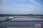 资料图：福建泉港山腰盐场生产正常。中新社记者 陈龙山 摄 - 福建新闻