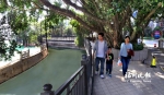 市民在龙津河边散步。资料图 - 新浪