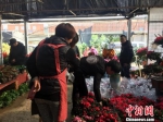 福州市民正在花卉市场挑花。　叶秋云 摄 - 福建新闻