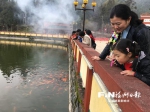 市民在雪峰寺看锦鲤。记者 黄凌 摄 - 新浪