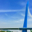 沙洲岛特大桥西溪主桥是全球最宽单塔斜拉桥。供图 - 福建新闻