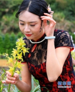 身穿旗袍的女士在花间赏花（3月8日摄）。新华网 肖和勇 摄 - 新浪