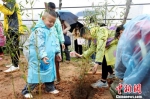小朋友在园艺师指导下，将70株小竹苗种植在园区绿化种植区内。　供图 - 福建新闻