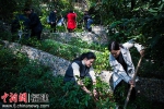 福州举办大型百人植树活动 为“福州蓝”再添色彩 - 福建新闻