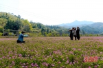 游客在花丛中拍照 吴有森 摄 - 新浪