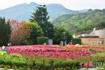 2002年全国首建的生态花葬园 花团锦簇。凌月华 摄 - 福建新闻