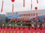 南靖县举行茶旅文化节 今年茶旅游客预计达5万人 - 新浪