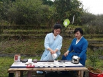 南靖县举行茶旅文化节 今年茶旅游客预计达5万人 - 新浪