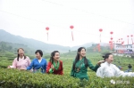 茶香四溢茶旅相融 南靖茶旅文化节开采吸引八方游客 - 新浪