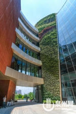 科技馆、规划馆中间以“阳光谷”相联系，直抵楼顶的绿植墙面生机盎然。 - 新浪