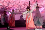 图为晚会上来自台湾的青年们献上汉服歌舞和少数民族欢庆舞蹈。张斌 摄 - 福建新闻